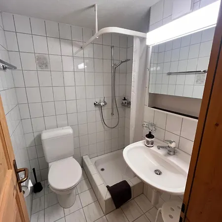 Sonnige Bergwohnung - Ski, Wandern, Pur - Davos Apartment